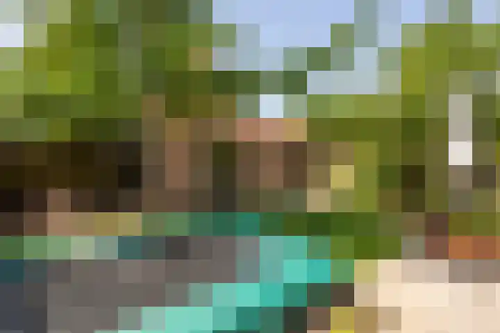 den Dries 19 Reusel thumbnail 35
