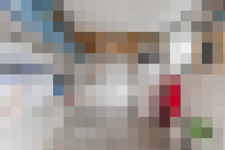 den Dries 19 Reusel thumbnail 35