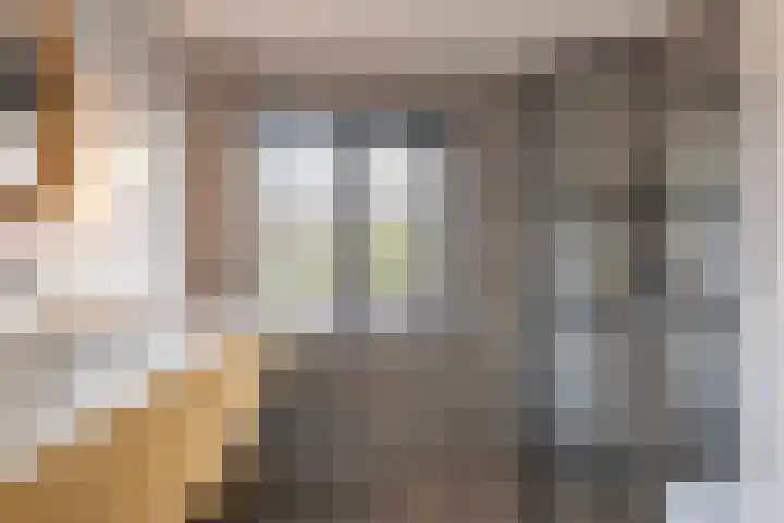den Dries 19 Reusel thumbnail 36