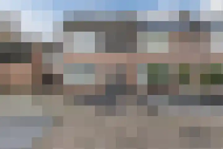 den Dries 19 Reusel thumbnail 40