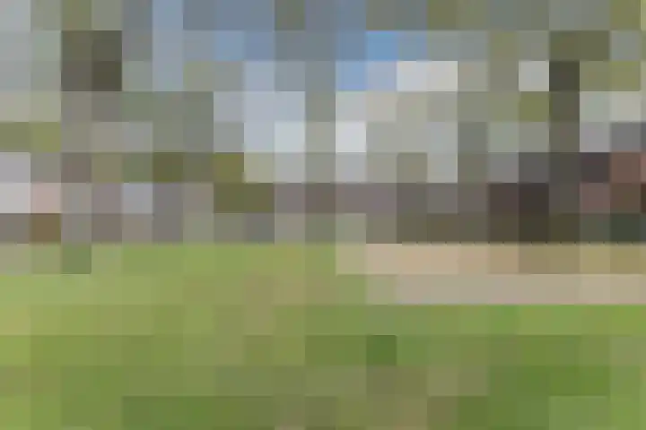 den Dries 19 Reusel thumbnail 41