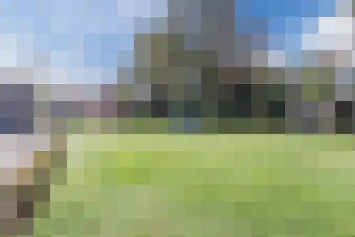 den Dries 19 Reusel thumbnail 43