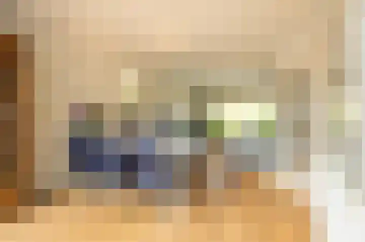 den Dries 19 Reusel thumbnail 47