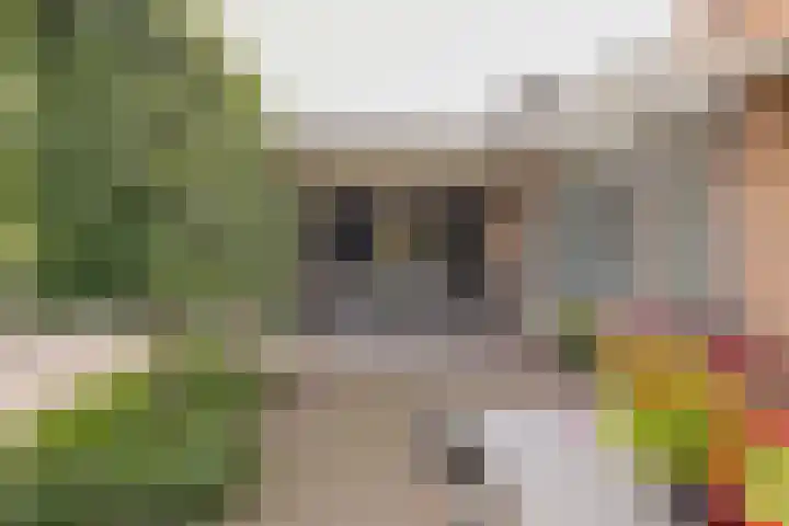 den Dries 19 Reusel thumbnail 8