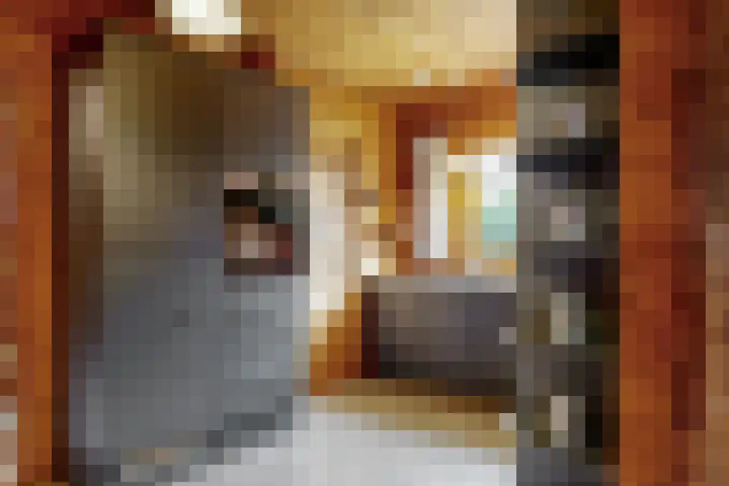 Den Dries 23 Vught thumbnail 13