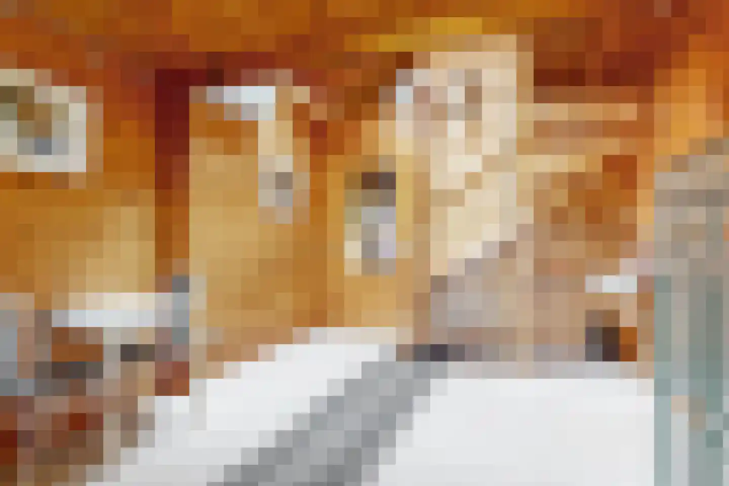 Den Dries 23 Vught thumbnail 18