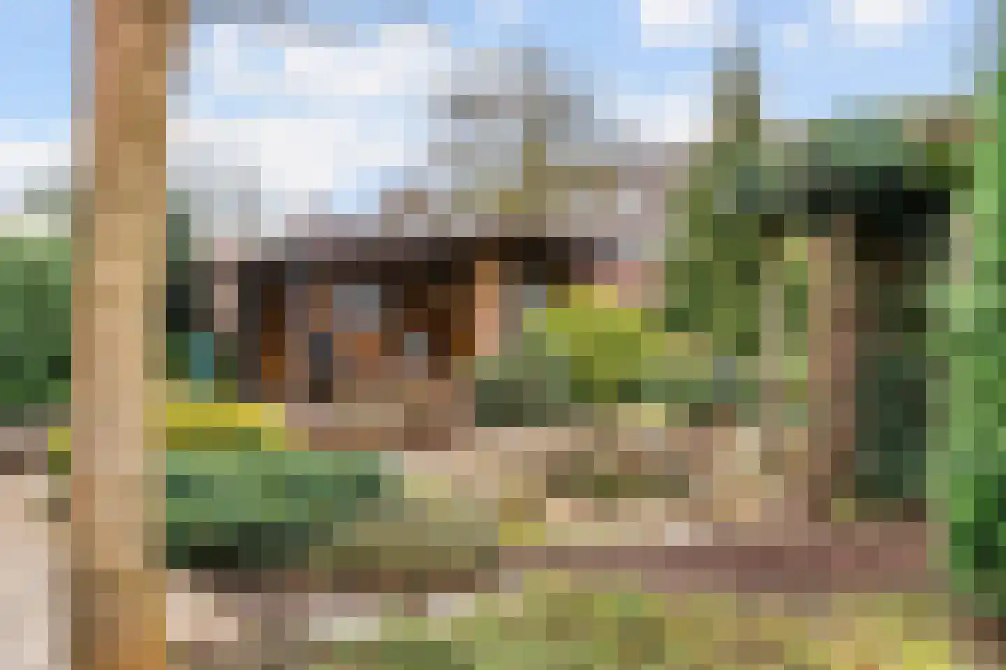 Den Dries 23 Vught thumbnail 46