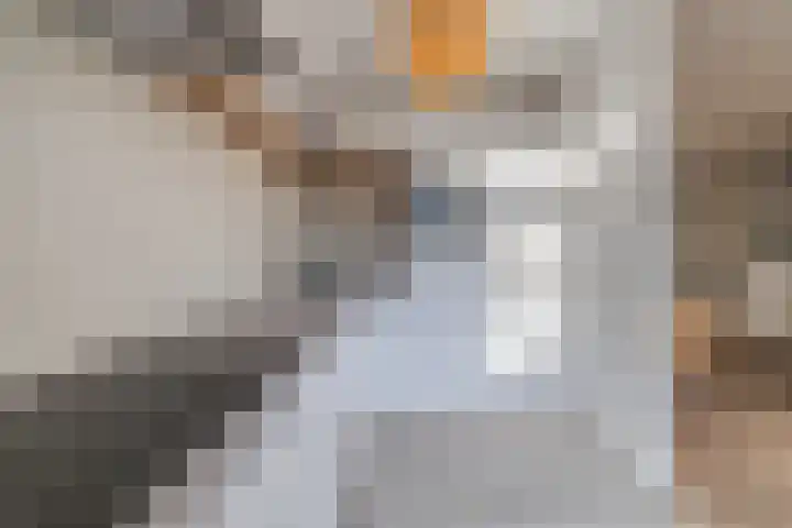 Den Dries 4 Diessen thumbnail 18
