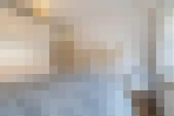 Den Dries 4 Diessen thumbnail 24