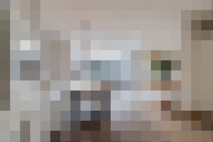 Den Dries 4 Diessen thumbnail 9