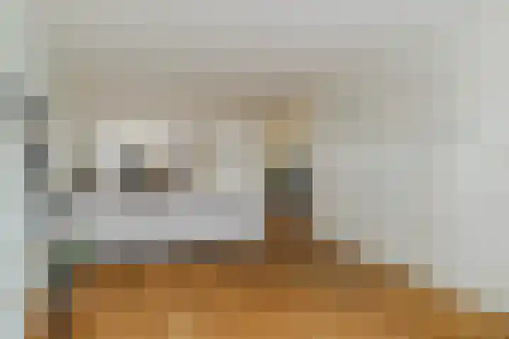 den Dries 40 Klein Zundert thumbnail 12