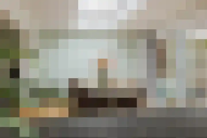 den Dries 40 Klein Zundert thumbnail 17