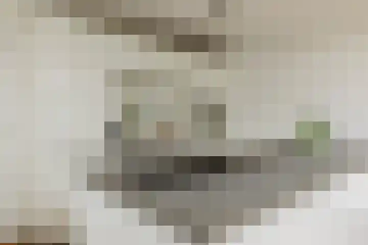 den Dries 40 Klein Zundert thumbnail 18