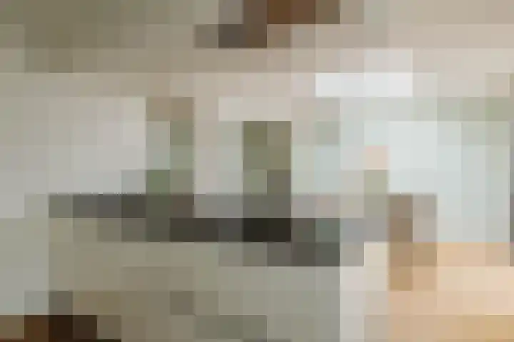 den Dries 40 Klein Zundert thumbnail 20