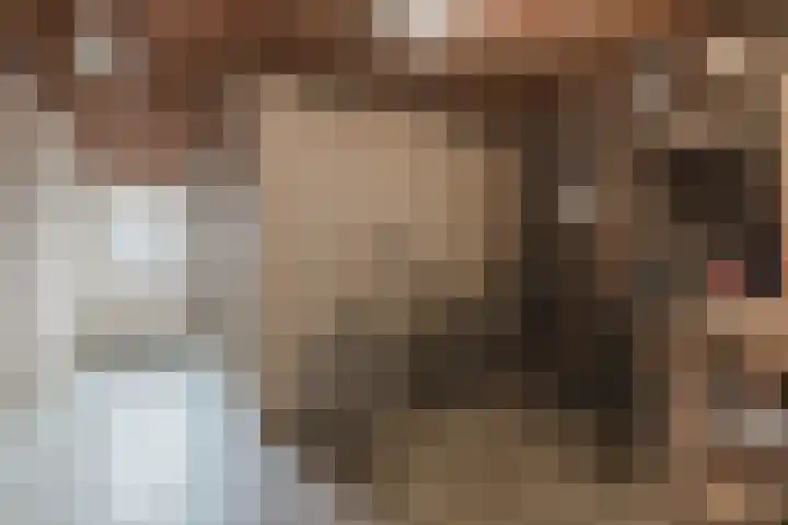 den Dries 40 Klein Zundert thumbnail 24
