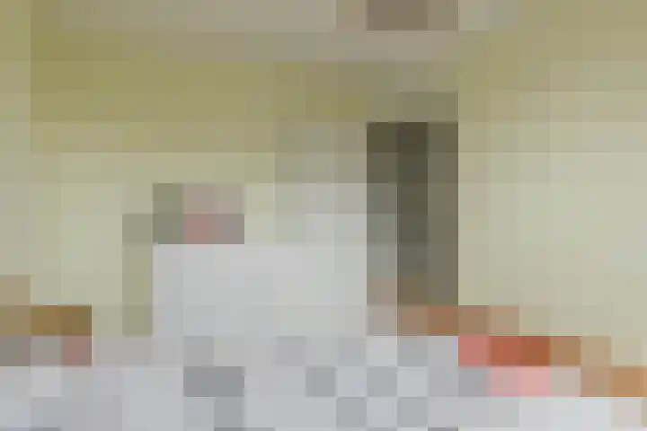 den Dries 40 Klein Zundert thumbnail 33
