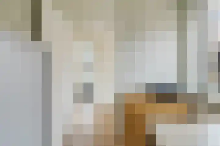 den Dries 40 Klein Zundert thumbnail 35