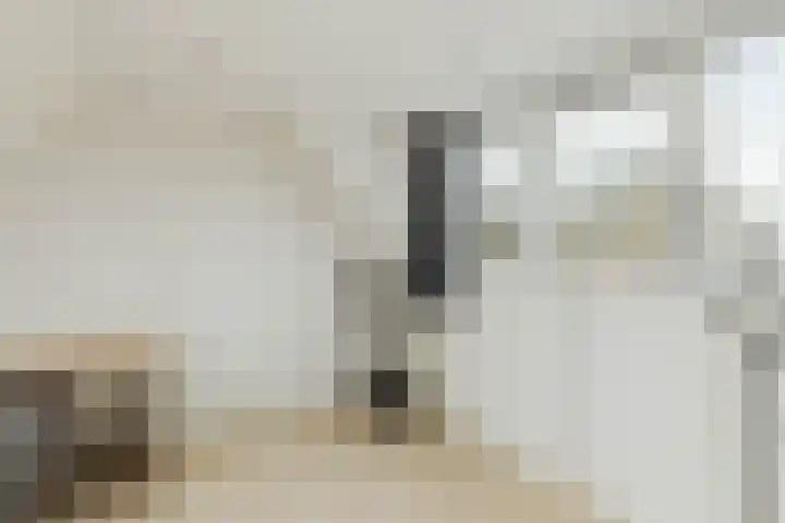den Dries 40 Klein Zundert thumbnail 37