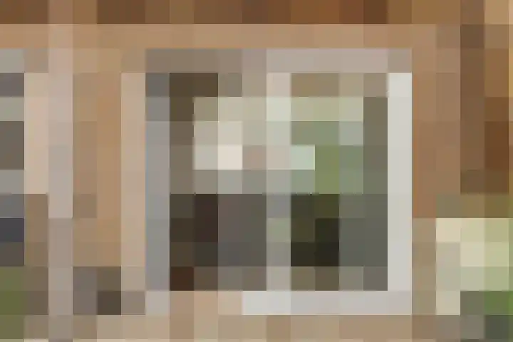 den Dries 40 Klein Zundert thumbnail 39