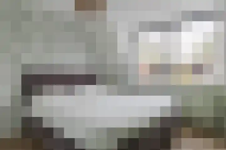 den Dries 40 Klein Zundert thumbnail 4