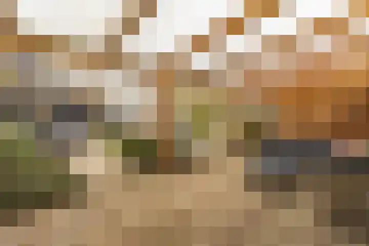 den Dries 40 Klein Zundert thumbnail 41