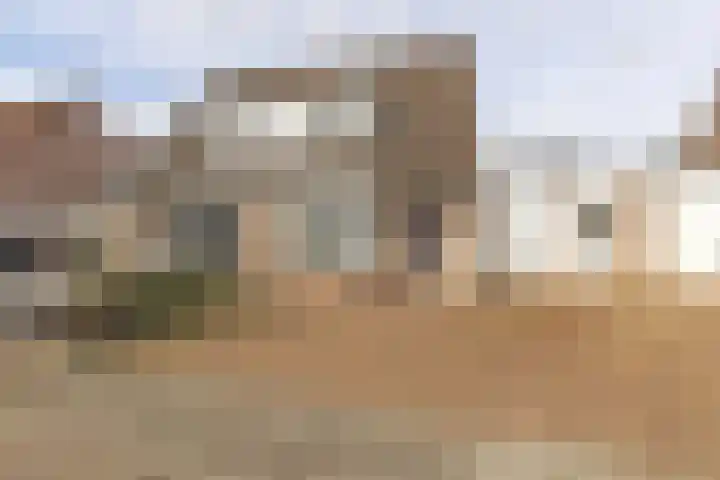 den Dries 40 Klein Zundert thumbnail 46