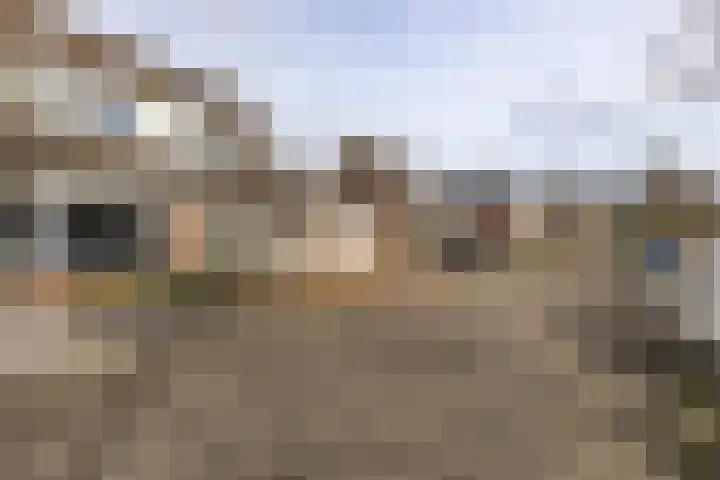 den Dries 40 Klein Zundert thumbnail 48