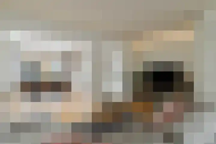 den Dries 40 Klein Zundert thumbnail 8