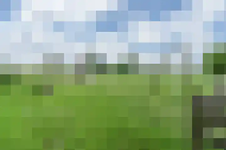 den Drink 6 Reusel thumbnail 10