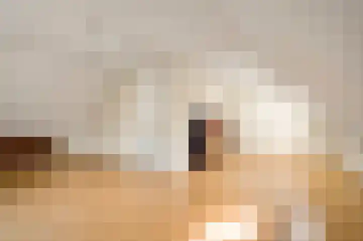 Den Eigen 1 a Sevenum thumbnail 37