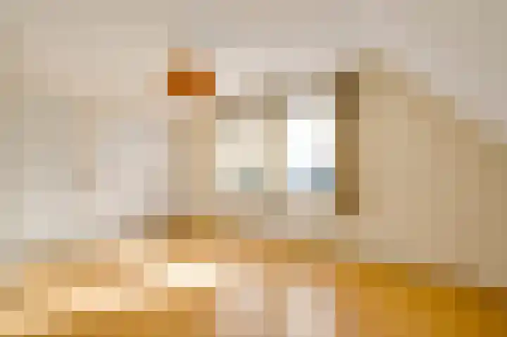 Den Eigen 1 a Sevenum thumbnail 40