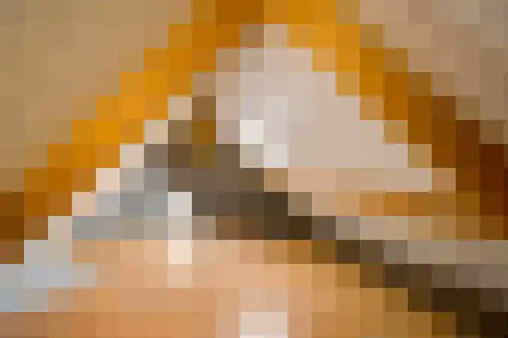 Den Eigen 1 a Sevenum thumbnail 43