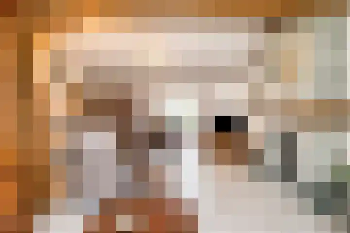 Den Eigen 17 Sevenum thumbnail 12