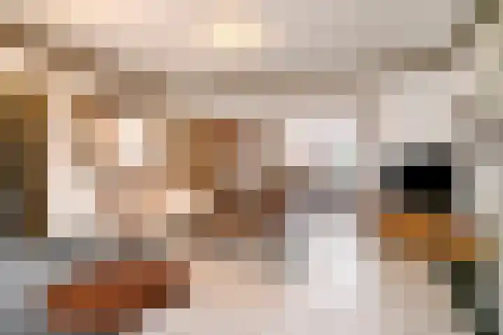 Den Eigen 17 Sevenum thumbnail 13
