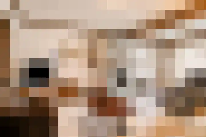 Den Eigen 17 Sevenum thumbnail 14