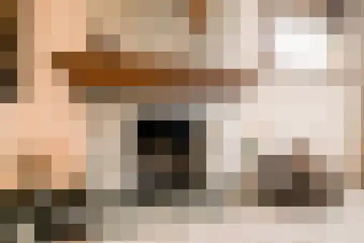 Den Eigen 17 Sevenum thumbnail 15
