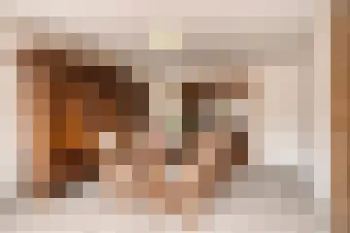 Den Eigen 17 Sevenum thumbnail 17