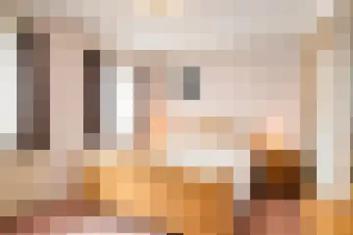 Den Eigen 17 Sevenum thumbnail 31