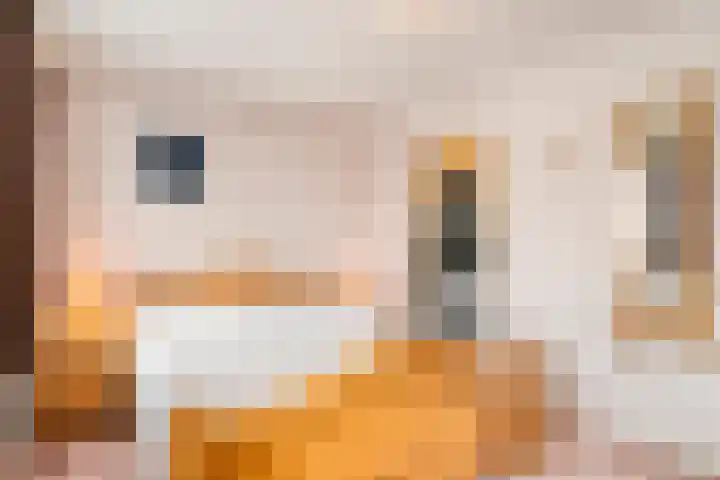Den Eigen 17 Sevenum thumbnail 32