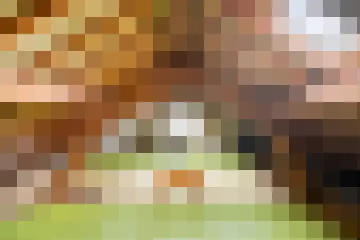 Den Eigen 17 Sevenum thumbnail 40