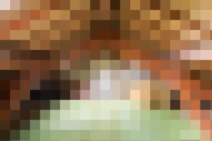 Den Eigen 17 Sevenum thumbnail 41