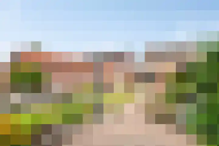 Den Eigen 17 Sevenum thumbnail 44
