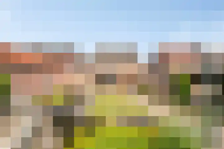 Den Eigen 17 Sevenum thumbnail 45