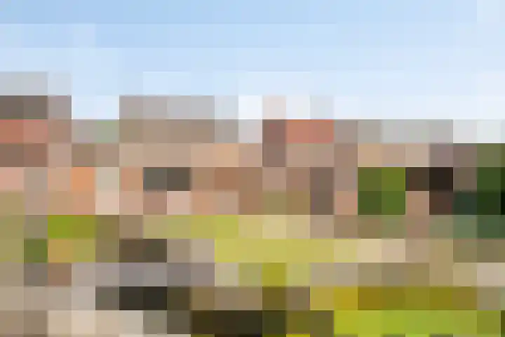 Den Eigen 17 Sevenum thumbnail 46