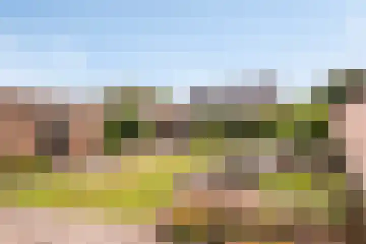 Den Eigen 17 Sevenum thumbnail 48