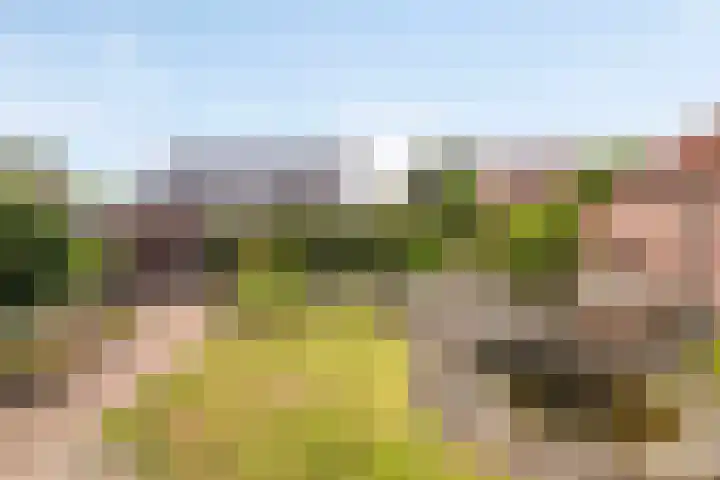 Den Eigen 17 Sevenum thumbnail 49