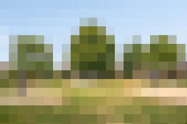 Den Eigen 17 Sevenum thumbnail 52