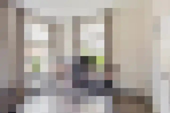 Den Eik 16 Westerbeek thumbnail 10