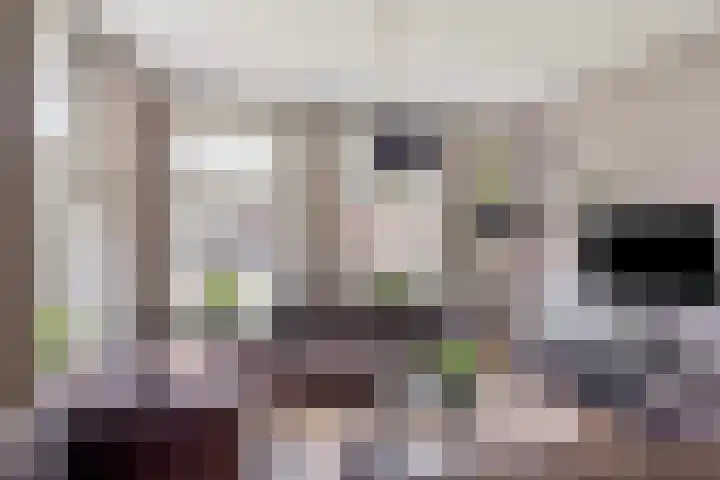 Den Eik 16 Westerbeek thumbnail 12