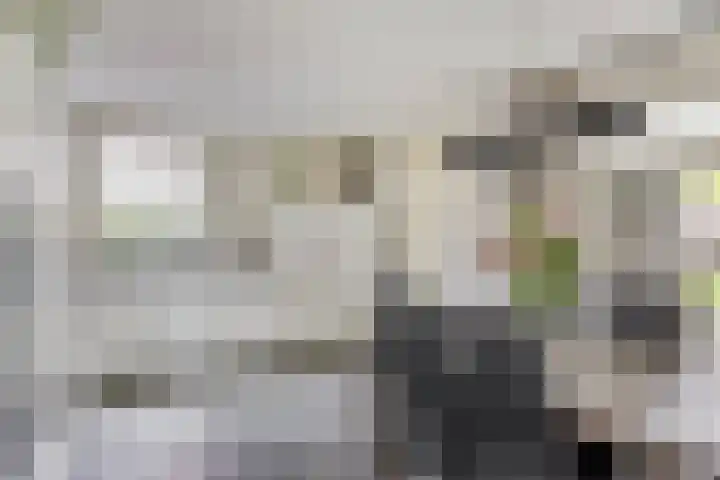 Den Eik 16 Westerbeek thumbnail 16